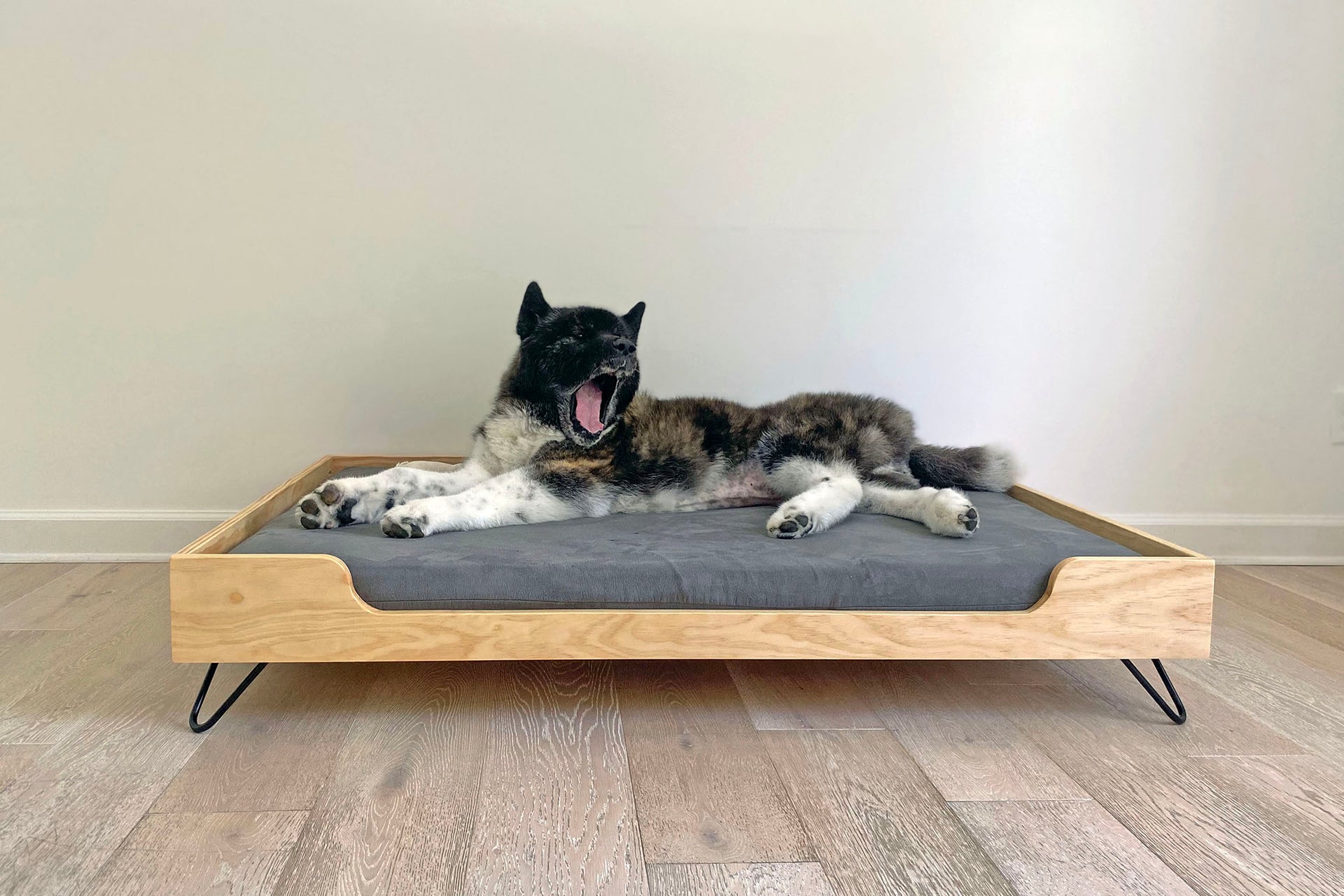 A DIYHairpinLegs Build: Easy & Modern Hairpin Leg Dog Bed