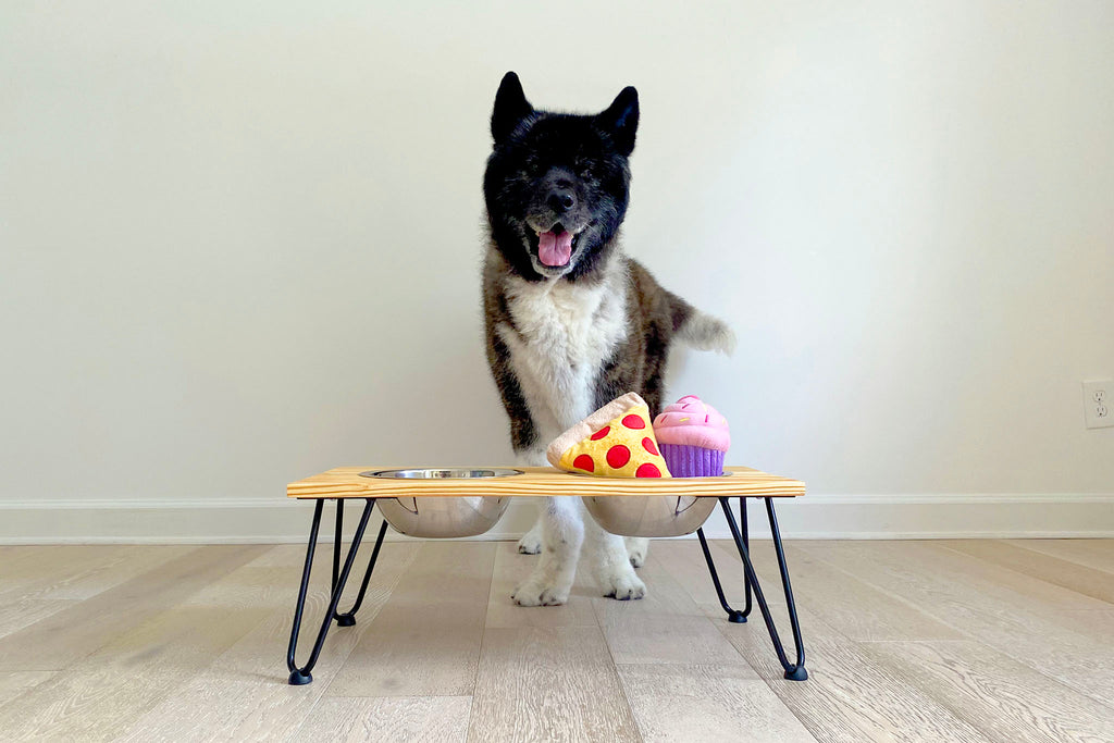 DIY Dog Bowl Stand 